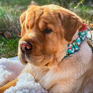 Meet your Posher, Kristin